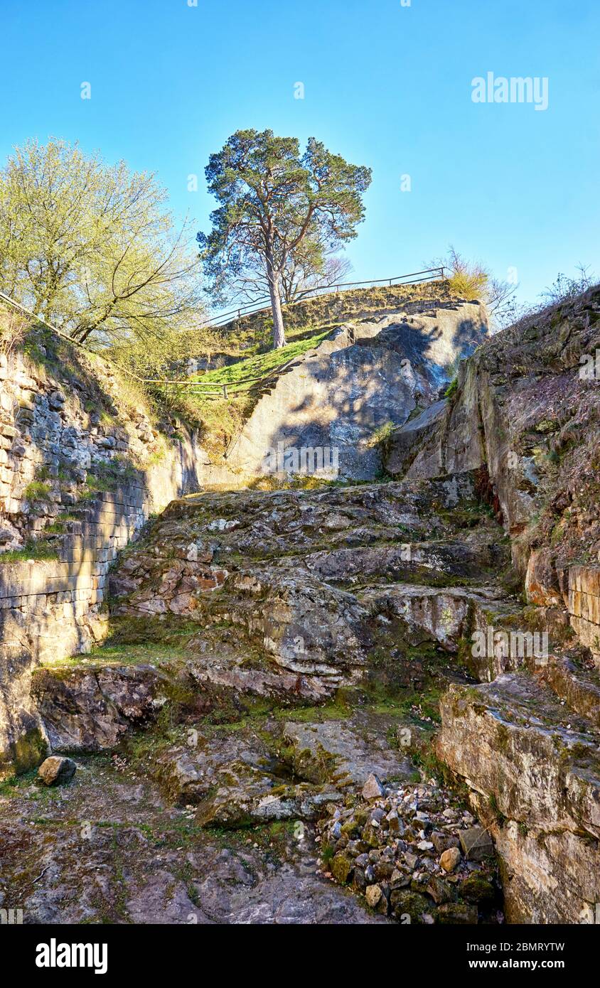 Un albero su una vecchia roccia alle rovine del castello di Regenstein a Blankenburg. Parco Nazionale di Harz. Sassonia-Anhalt, Germania. Foto Stock