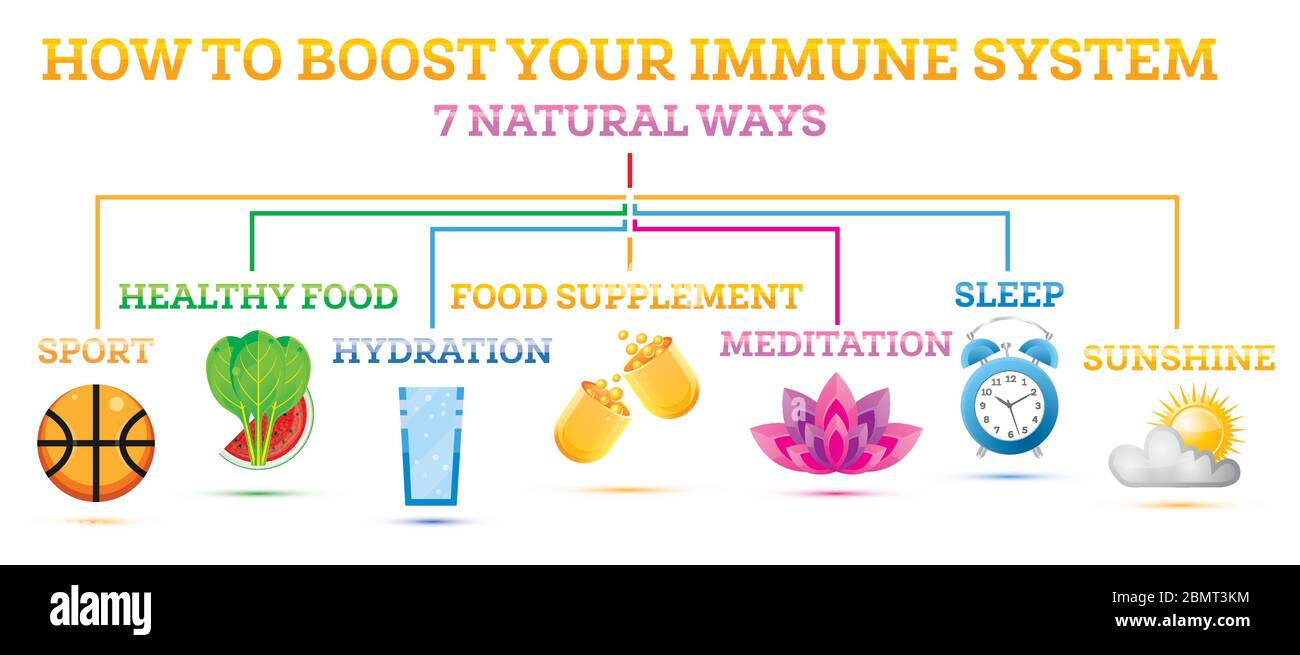 Come potenziare il sistema immunitario. Elementi infografici. Illustrazione vettoriale. Abitudini sane contro le malattie e i virus della Respiratoty. Illustrazione Vettoriale
