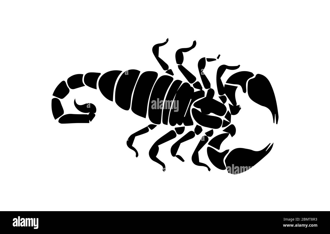 Silhouette di scorpione su sfondo bianco Foto Stock