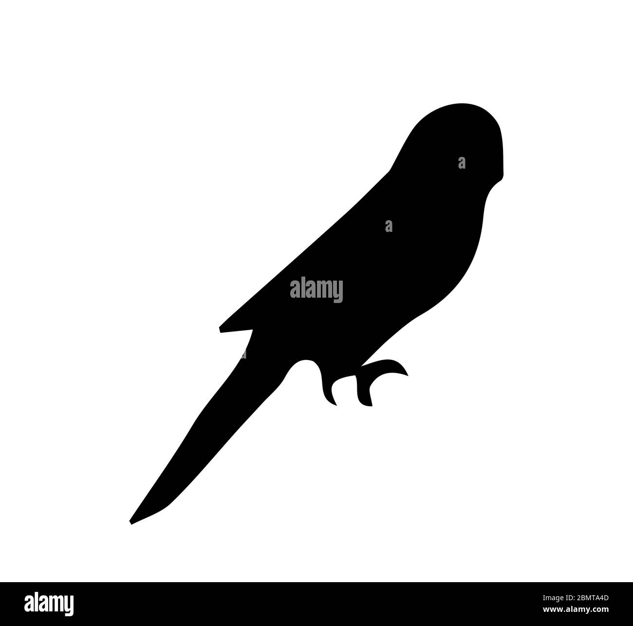 Silhouette di bugerigar su sfondo bianco Foto Stock
