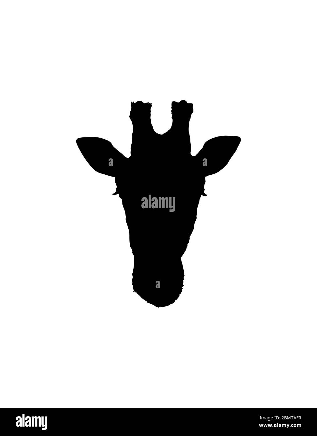 Giraffe testa silhouette isolato sfondo bianco Foto Stock