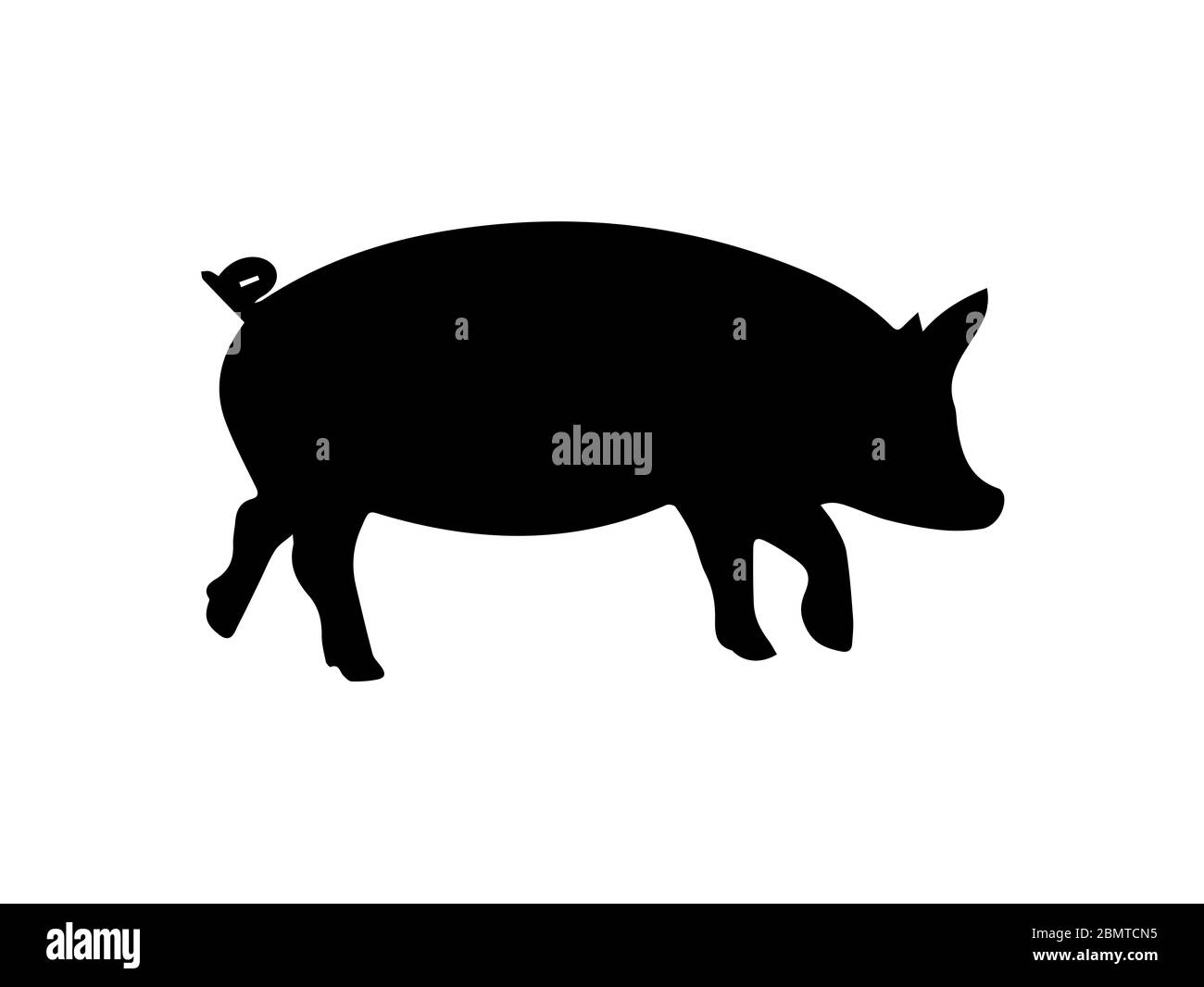 Silhouette di maiale su sfondo bianco Foto Stock