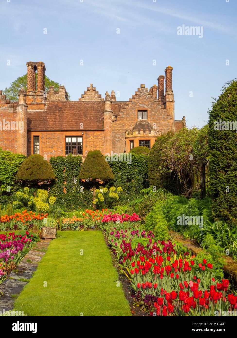 Chenies Manor Sunken giardino con tulipani colorati, guardando verso la casa Tudor Manor nel mese di aprile. Un festival di bulbi di primavera. Foto Stock