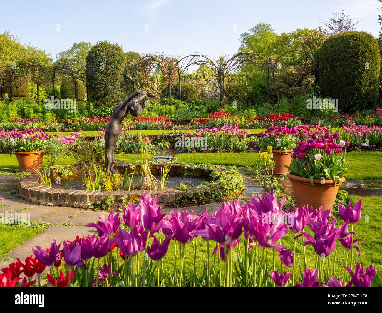 Chenies Manor Sunken giardino ornamentale stagno con scultura di un subacqueo, viola vibrante, mauves e tulipani rossi su due livelli di prato in sole luminoso. Foto Stock