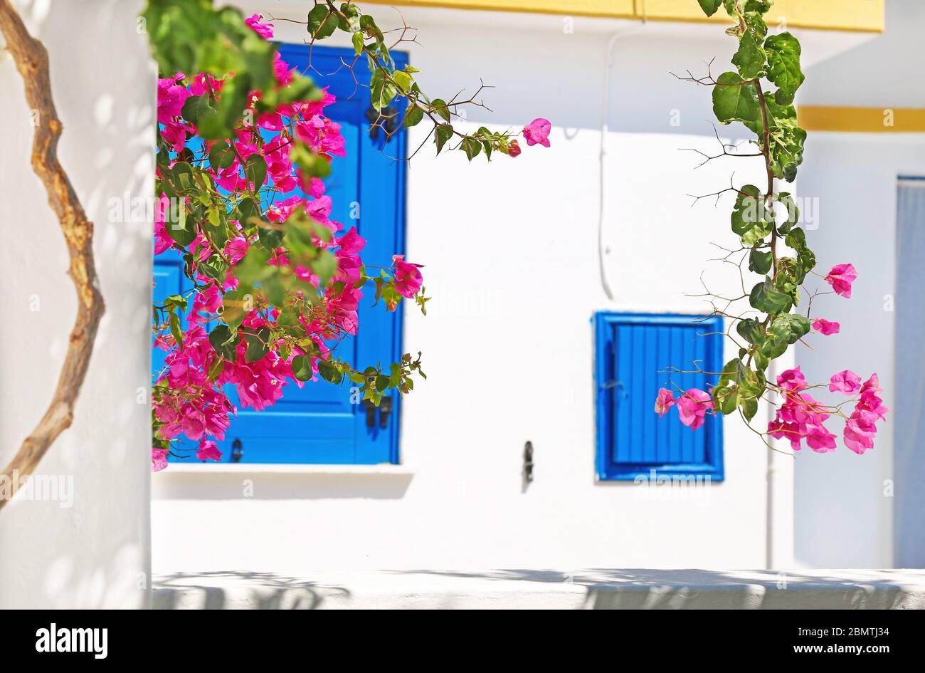 Fioritura bougainvillea fiori e finestre blu a Koufonisia Cyclades Grecia Foto Stock