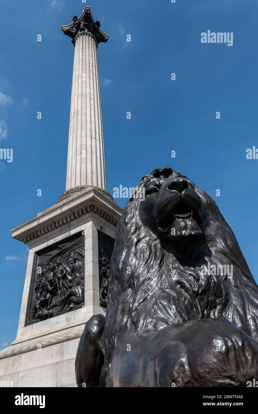 Colonna di Nelson e statua del Leone, Trafalgar Square, Londra, Regno Unito Foto Stock