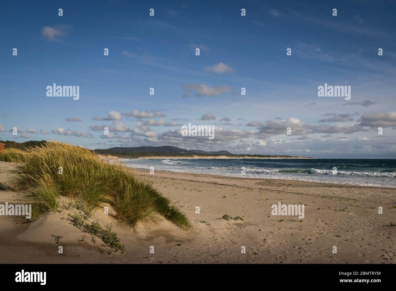 Paesaggio desertato spiaggia con dune erbose sulla sabbia e nuvole nel cielo blu. Spiaggia vuota. Tranquillo e tranquillo. Foto Stock