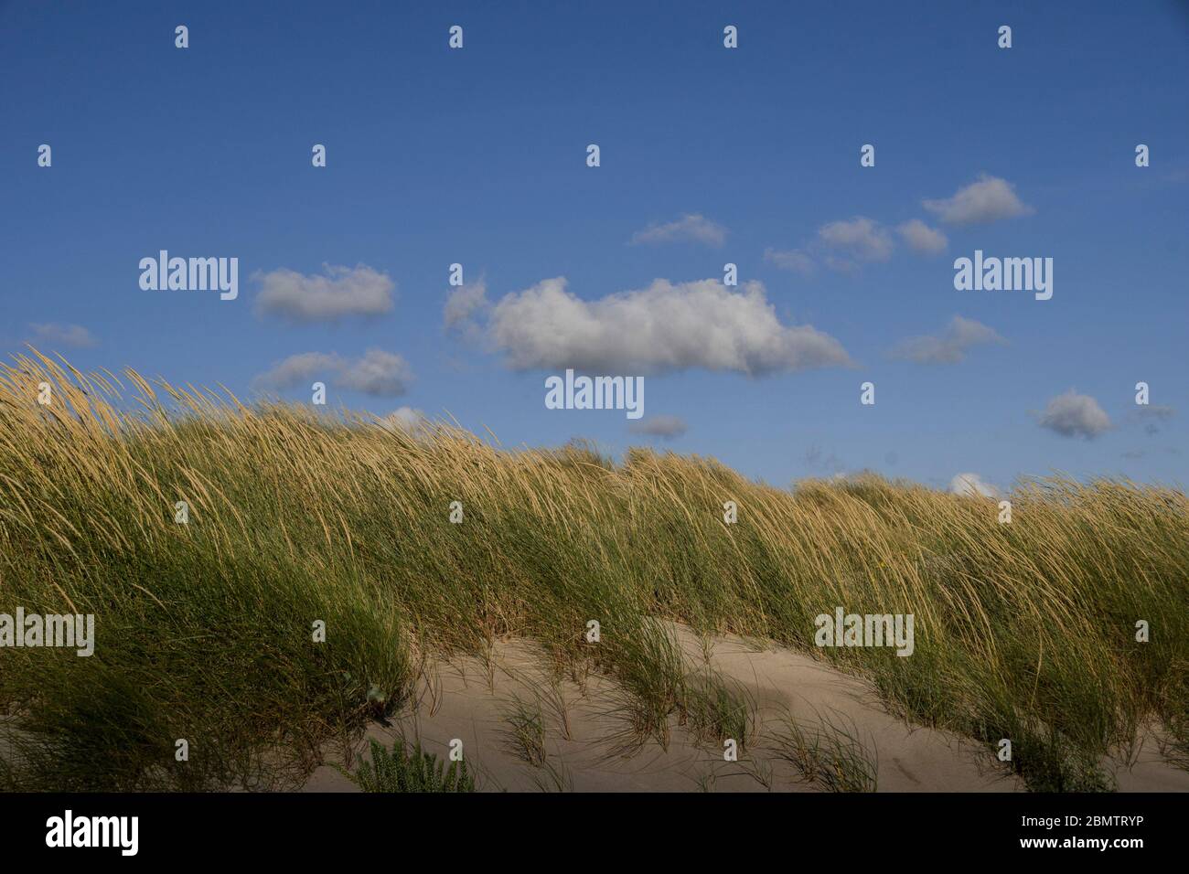 Paesaggio minimalista di dune verdi erbose sulla spiaggia, con nuvole sopra nel cielo blu Foto Stock