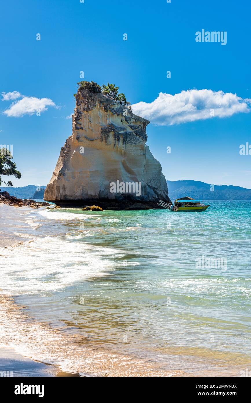 Te HOHO Rock in Cathedral Cove - Nuova Zelanda Foto Stock