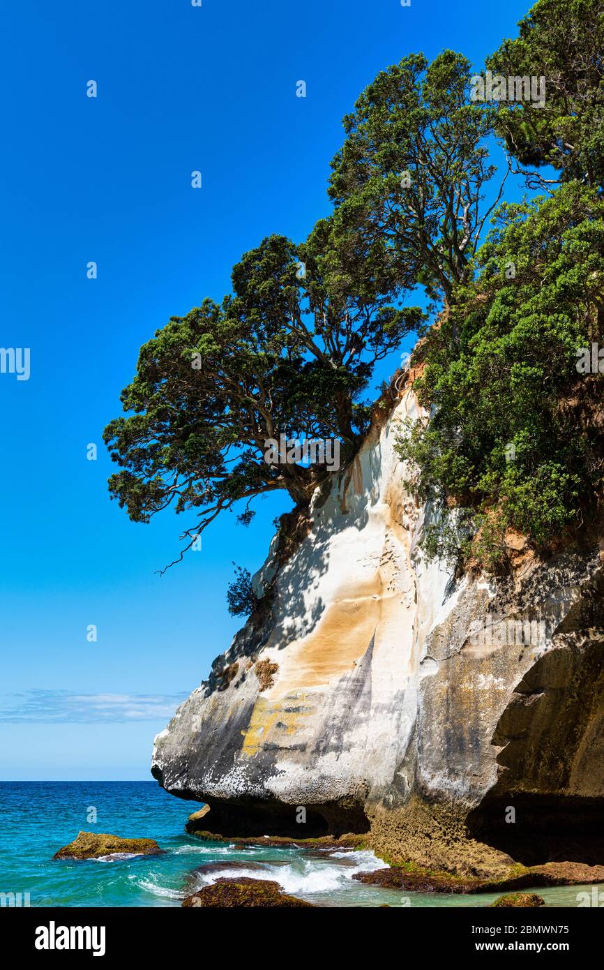 Cathedral Cove in Nuova Zelanda Foto Stock