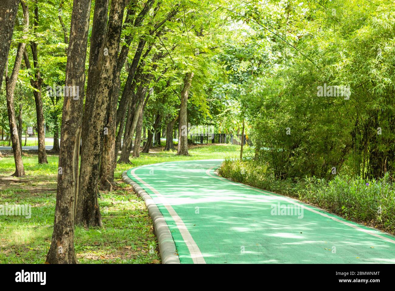 Simbolo pista ciclabile in un parco immagini e fotografie stock ad alta ...