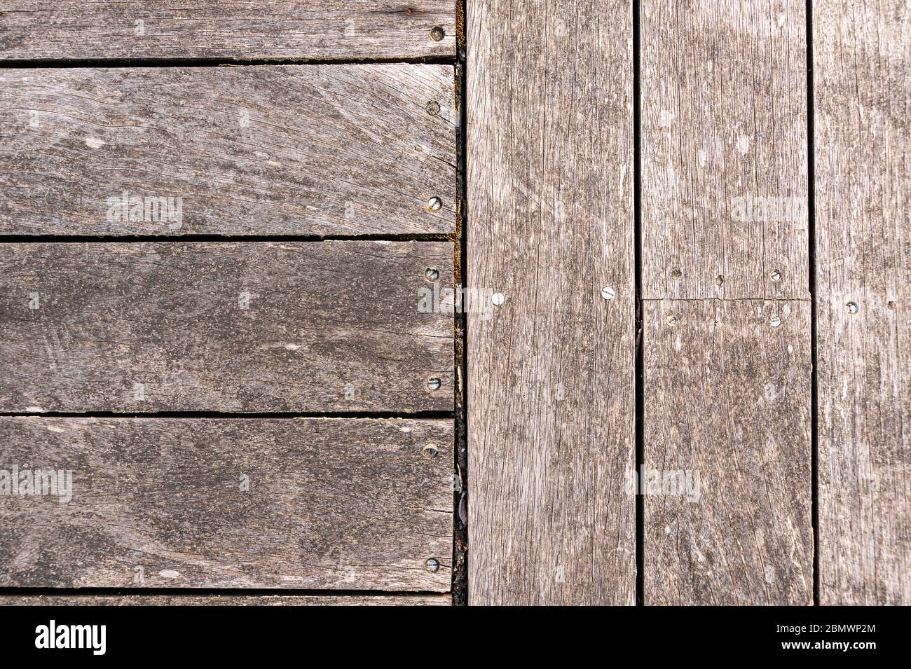 Primo piano del pavimento in legno con struttura naturale. Foto Stock