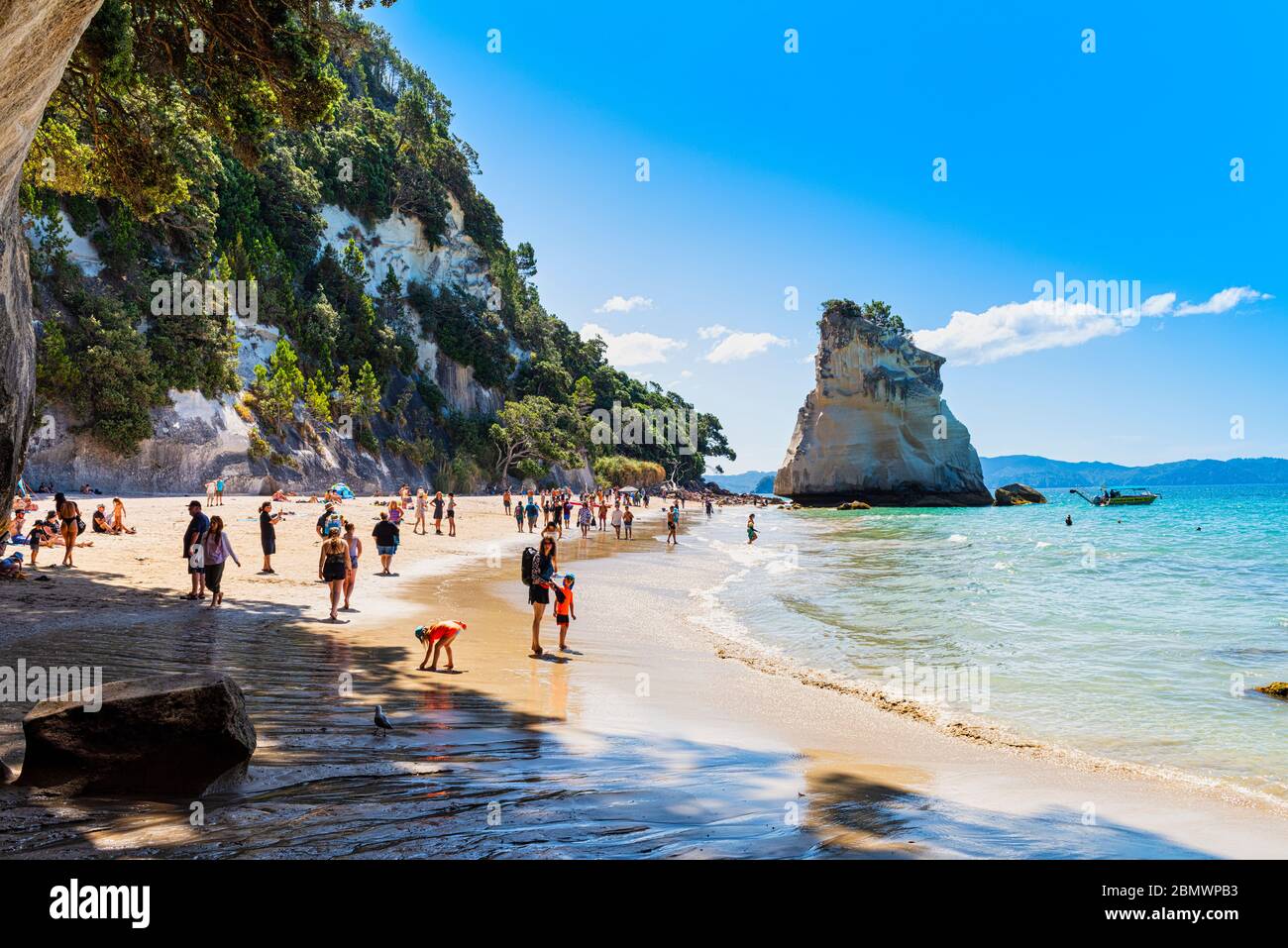 Te HOHO Rock in Cathedral Cove - Nuova Zelanda Foto Stock