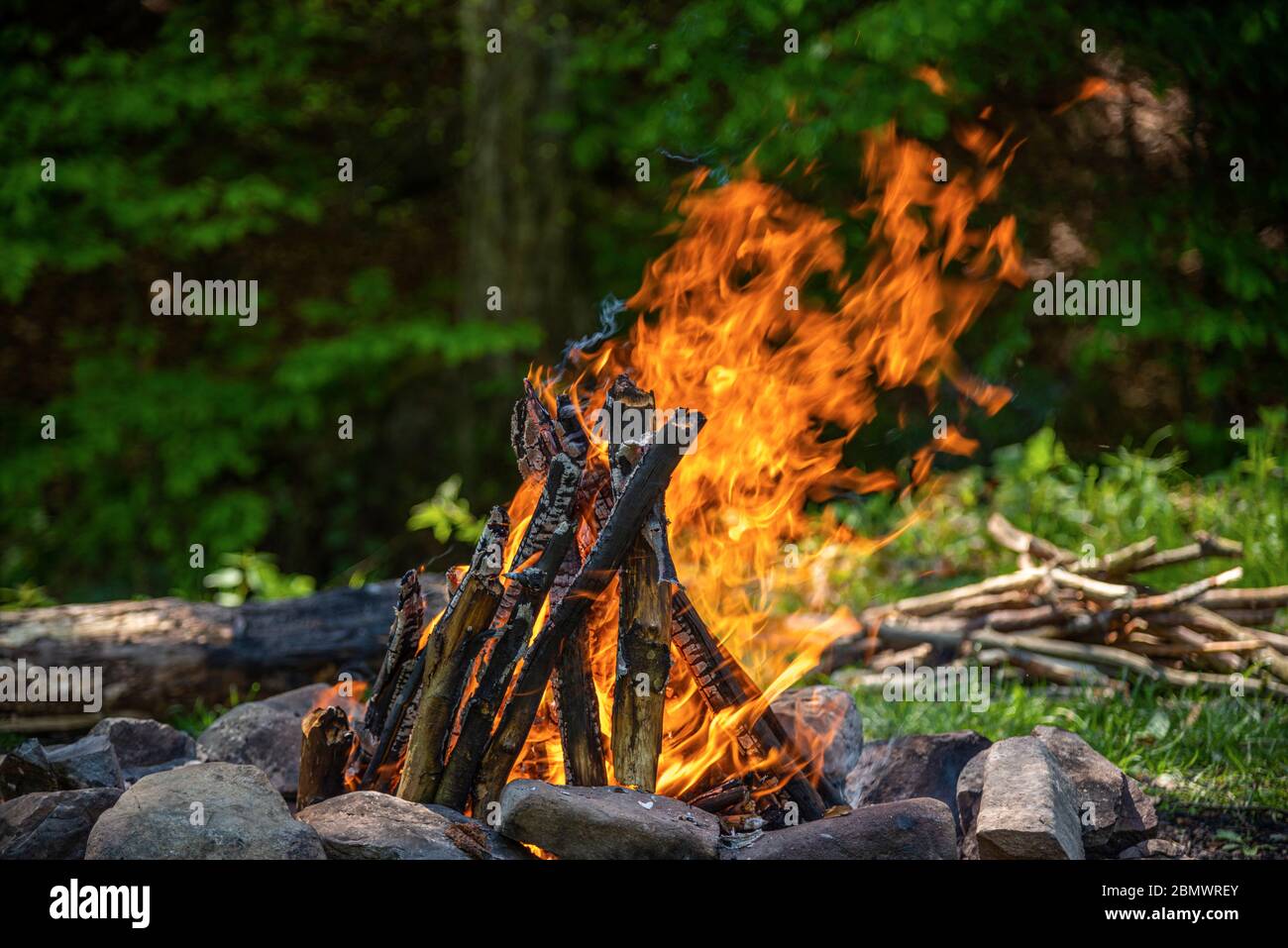Fuoco di Campfire sullo sfondo della foresta di primavera. Foto Stock