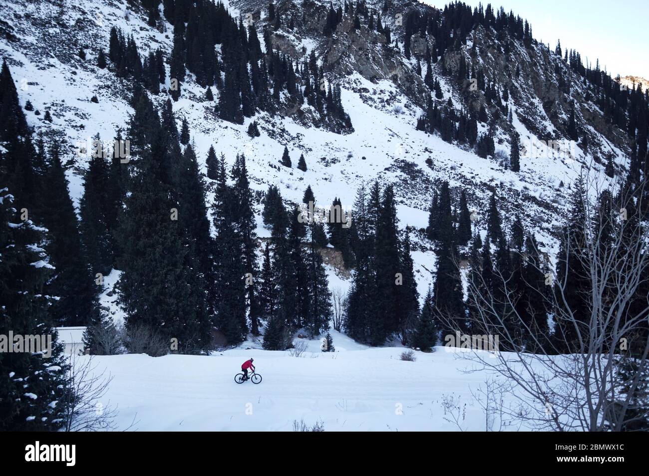 Ciclista in giacca rossa giostre a snow road a foreste di montagna in inverno Foto Stock