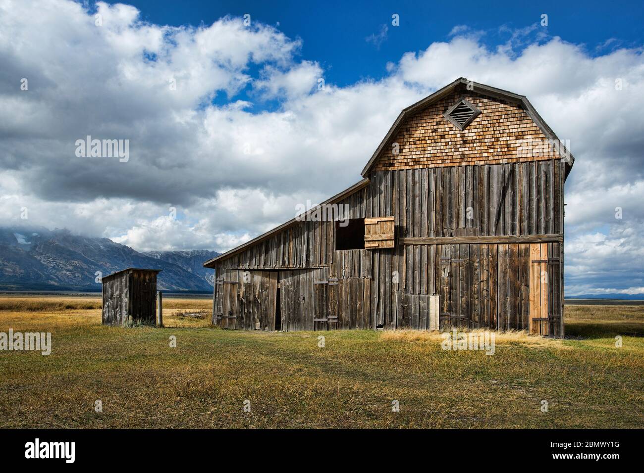 Mormon Roe, Grand Teton National Park, Wyoming, Stati Uniti Foto Stock