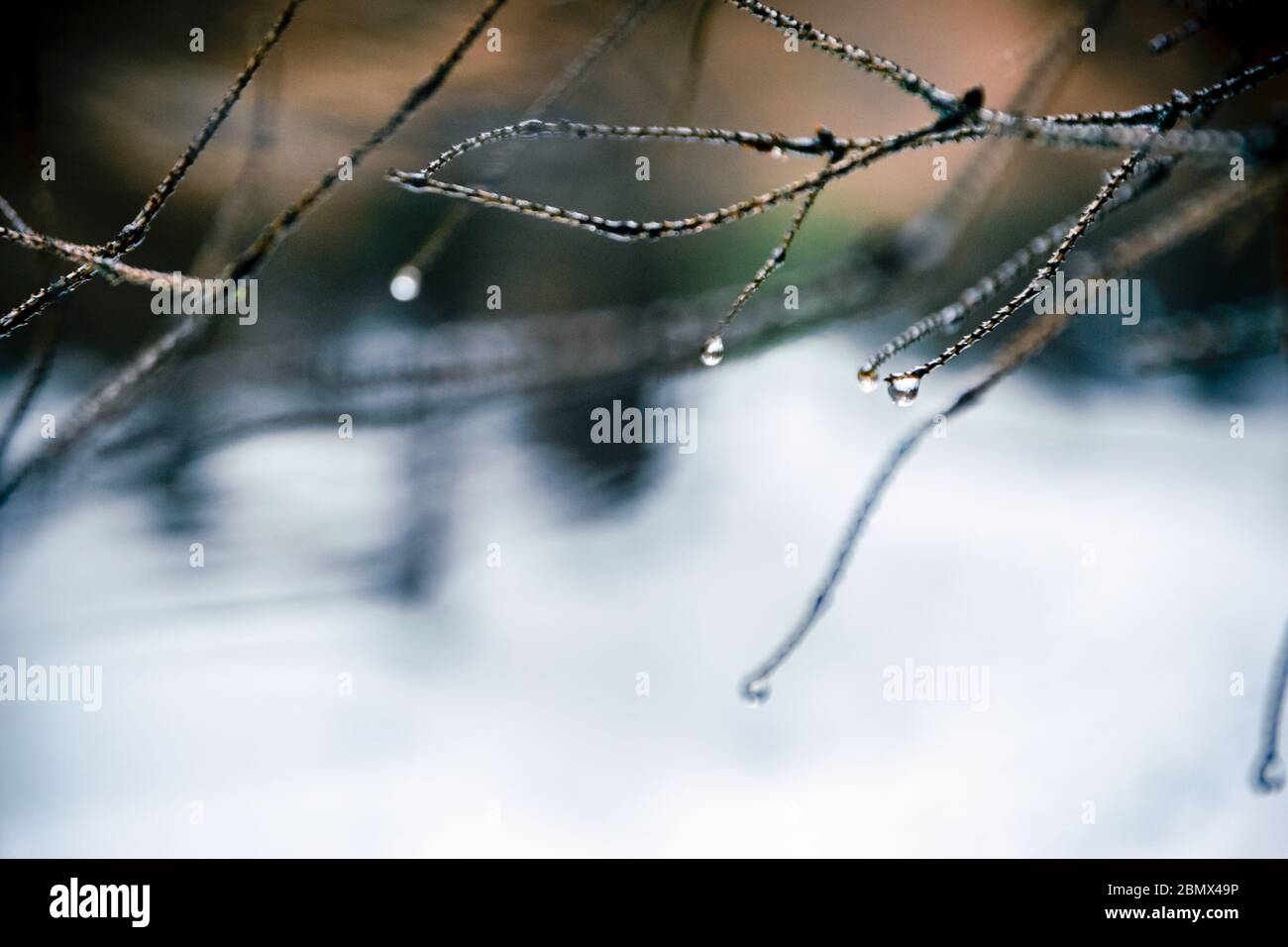 Erbringung und Verkauf von Dienstleistungen und Verkauf Foto Stock