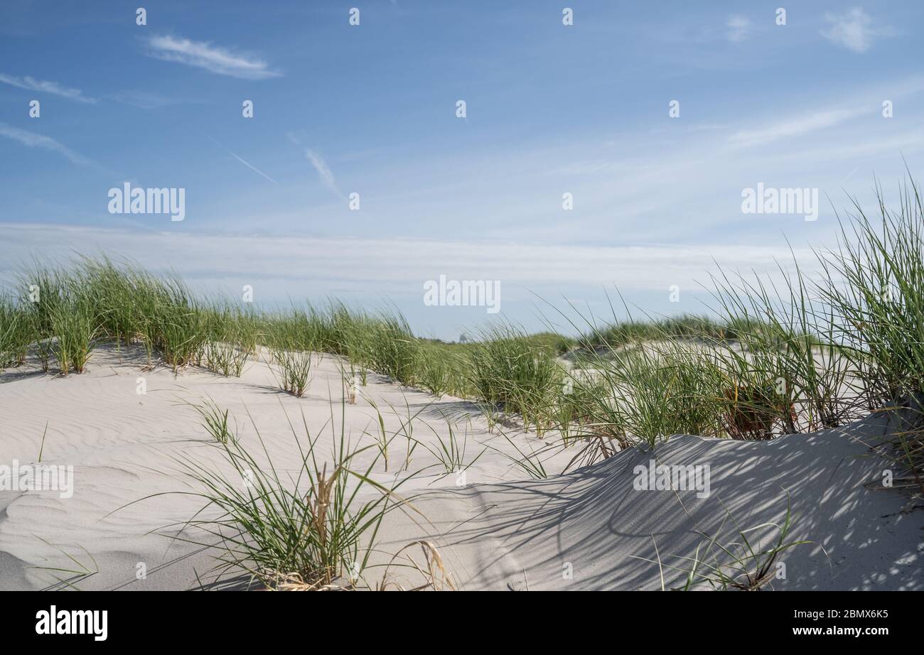 Dune di sabbia su sfondo cielo blu, Avalon, New Jersey Foto Stock