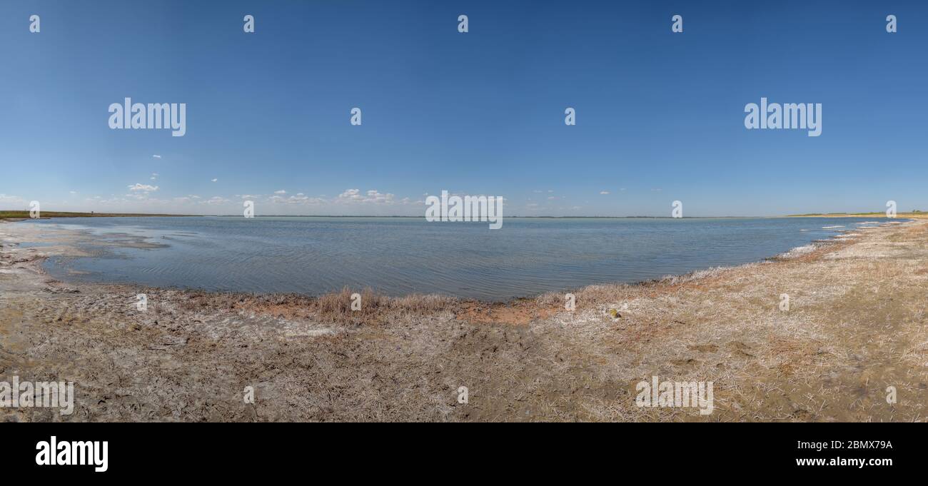 Panorama incredibile di un lago salato nella steppa con sale sulla riva contro un cielo blu e nuvole. Altai, Russia Foto Stock