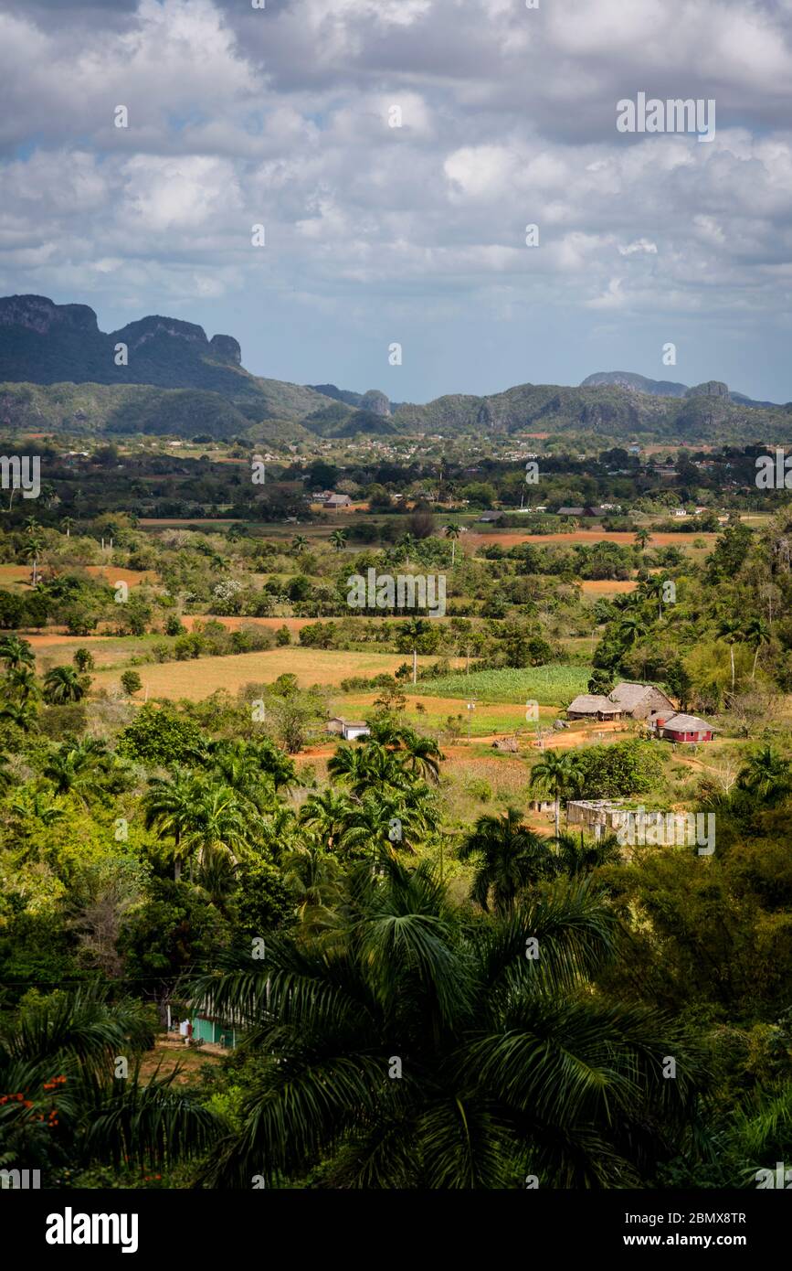 Val di Vinales, conosciuta per le sue formazioni rocciose geomorfologiche calcaree uniche chiamate mogote. Cuba Foto Stock