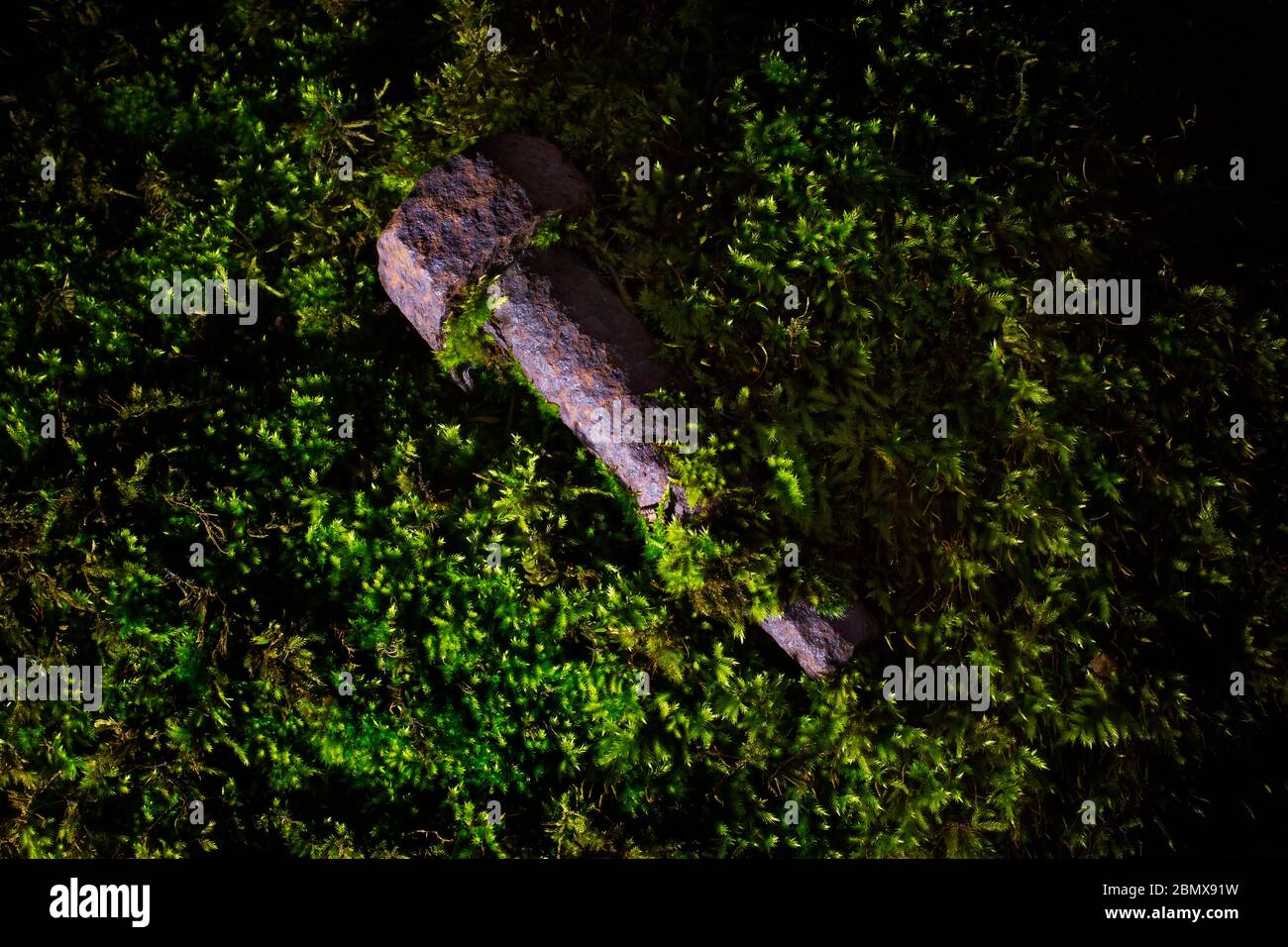 Un bullone arrugginito lasciato su una vecchia ferrovia disusata Foto Stock