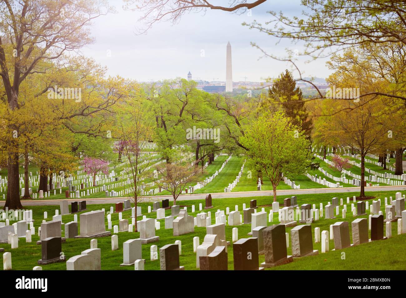 Vista sull'obelisco del Washington Monument dal cimitero di Arlington VA, USA Foto Stock