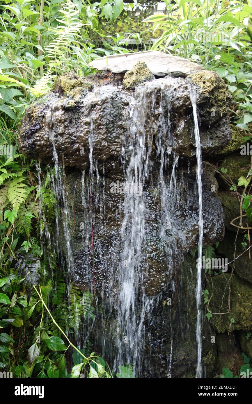 Una cascata nella 'Area delle Cascate' del pavimento della Foresta pluviale al Tropical World, Leeds Foto Stock