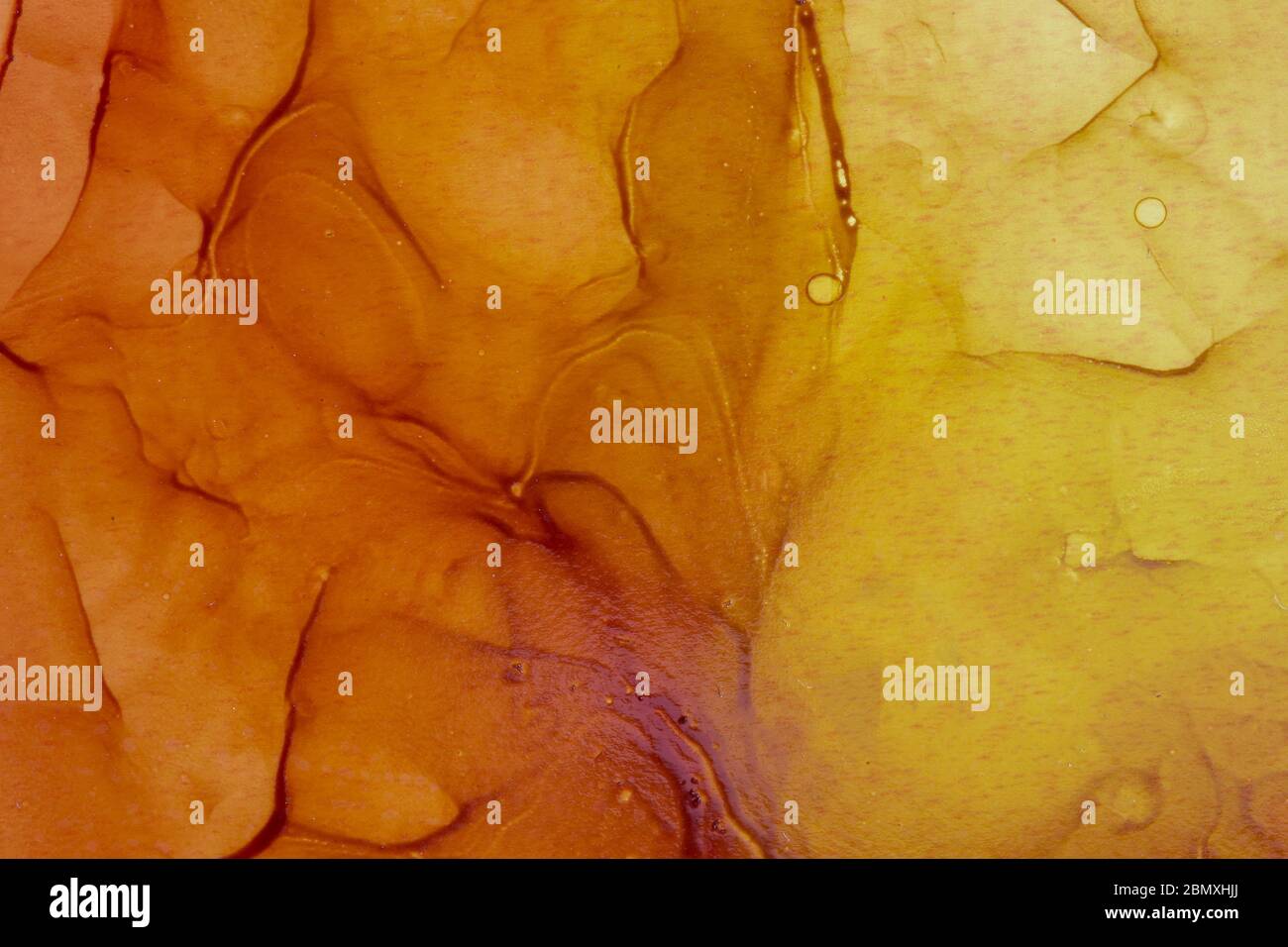 Astratto sfondo marrone e arancione. Grafica con inchiostro alcolico. Arte moderna contemporanea Foto Stock