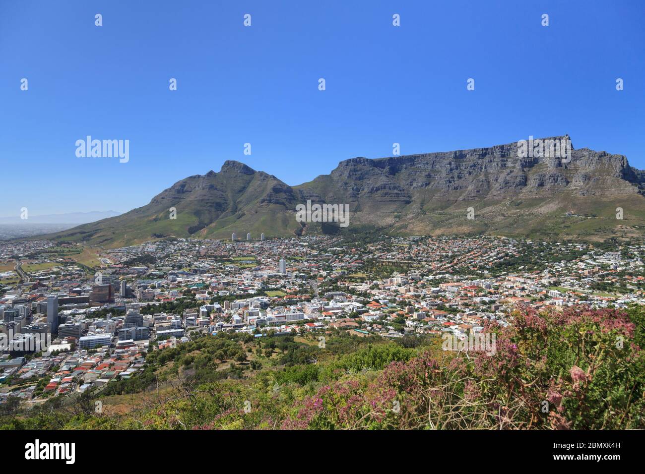 Vista panoramica di Table Mountain e Devil's Peak attraverso il Cape Town City Bowl in estate, Western Cape, Sud Africa Foto Stock