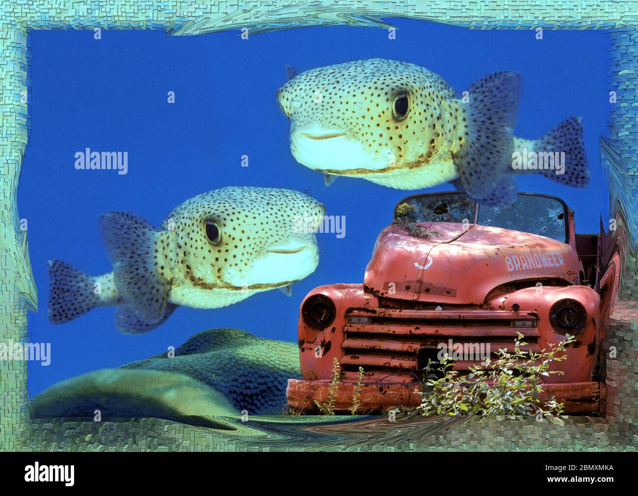 Arte di due foto, terra e sott'acqua, stratificati insieme insoliti, eye-catcher, collage. Foto Stock