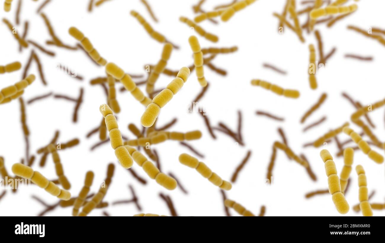 Cellule di Streptococcus pneumonia, isolate su fondo bianco. Illustrazione 3D Foto Stock