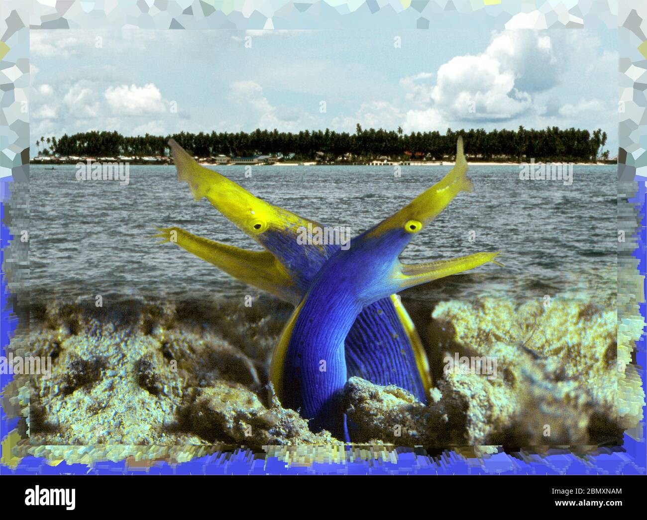 Arte di due foto, terra e sott'acqua, stratificati insieme insoliti, eye-catcher, collage. Foto Stock