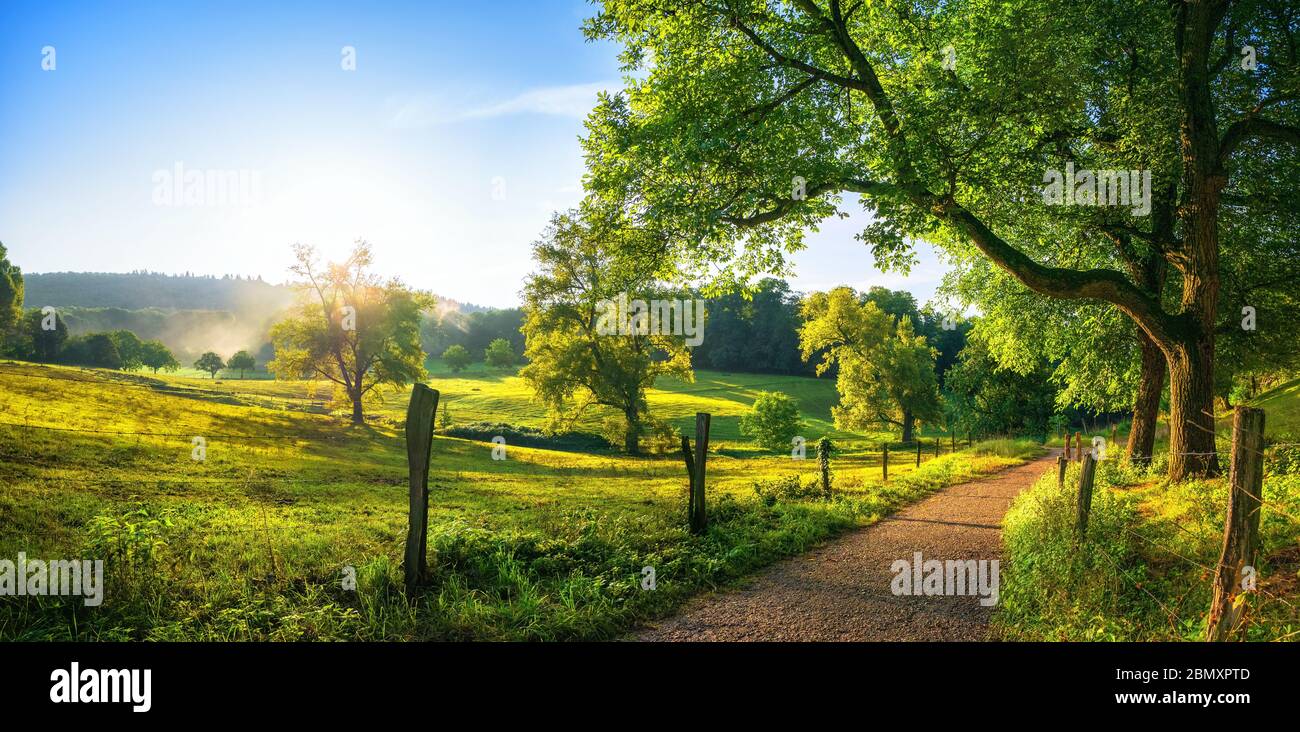 Paesaggio rurale con un sentiero, alberi e prati sulle colline, cielo blu e piacevole sole caldo dal sole basso Foto Stock