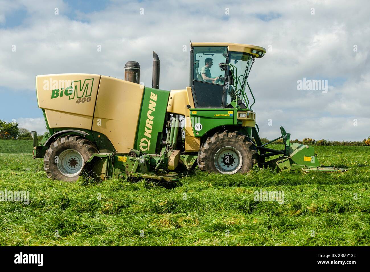 Timoleague, West Cork, Irlanda. 11 maggio 2020. Un falciatrice semovente Krone Big M 400 guidata da Finsbarr o'Donovan di A & F o'Donovan appaltatori, Clonakilty, taglia l'erba per insilare nella fattoria di David Deasy di Timoleague. L'erba sarà posta domani. Credit: AG News/Alamy Live News Foto Stock