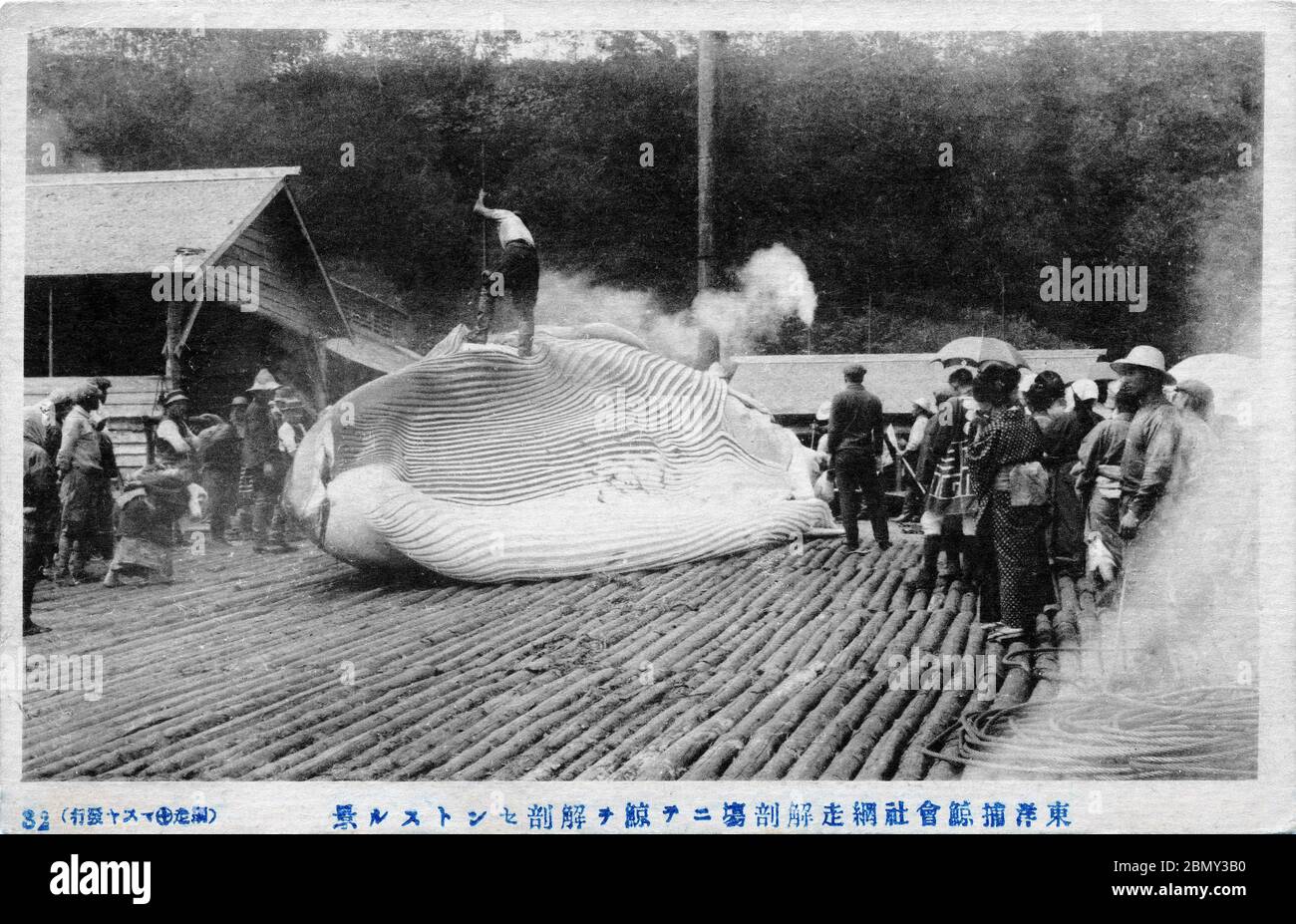 [ 1930 Giappone - Flensing a Whale ] - UNA piccola folla di persone guarda come una balena è in corso di flensed (rimuovendo il grasso, strato esterno della pelle) al sito di smembramento di Abashiri della Toyo Whaling Company (東洋捕鯨会社, Toyo Hogei Kaisha) nella città di Abashiri in Hokkaido. La zona ha una lunga storia di caccia alle balene. La caccia alla balena industriale iniziò quando una grande stazione costiera di caccia alla balena fu costruita ad Abashiri nel 1915. Didascalia originale: Cartolina vintage del 東洋捕鯨会社 網走解剖場ニテ鯨を解剖セントスル景 secolo. Foto Stock