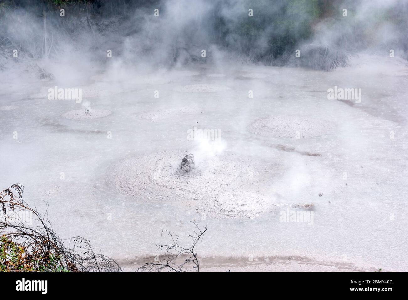 Piscine di fango a Wai-o-Tapu, caldera di Reporoa, nella zona vulcanica di Taupo in Nuova Zelanda. Foto Stock