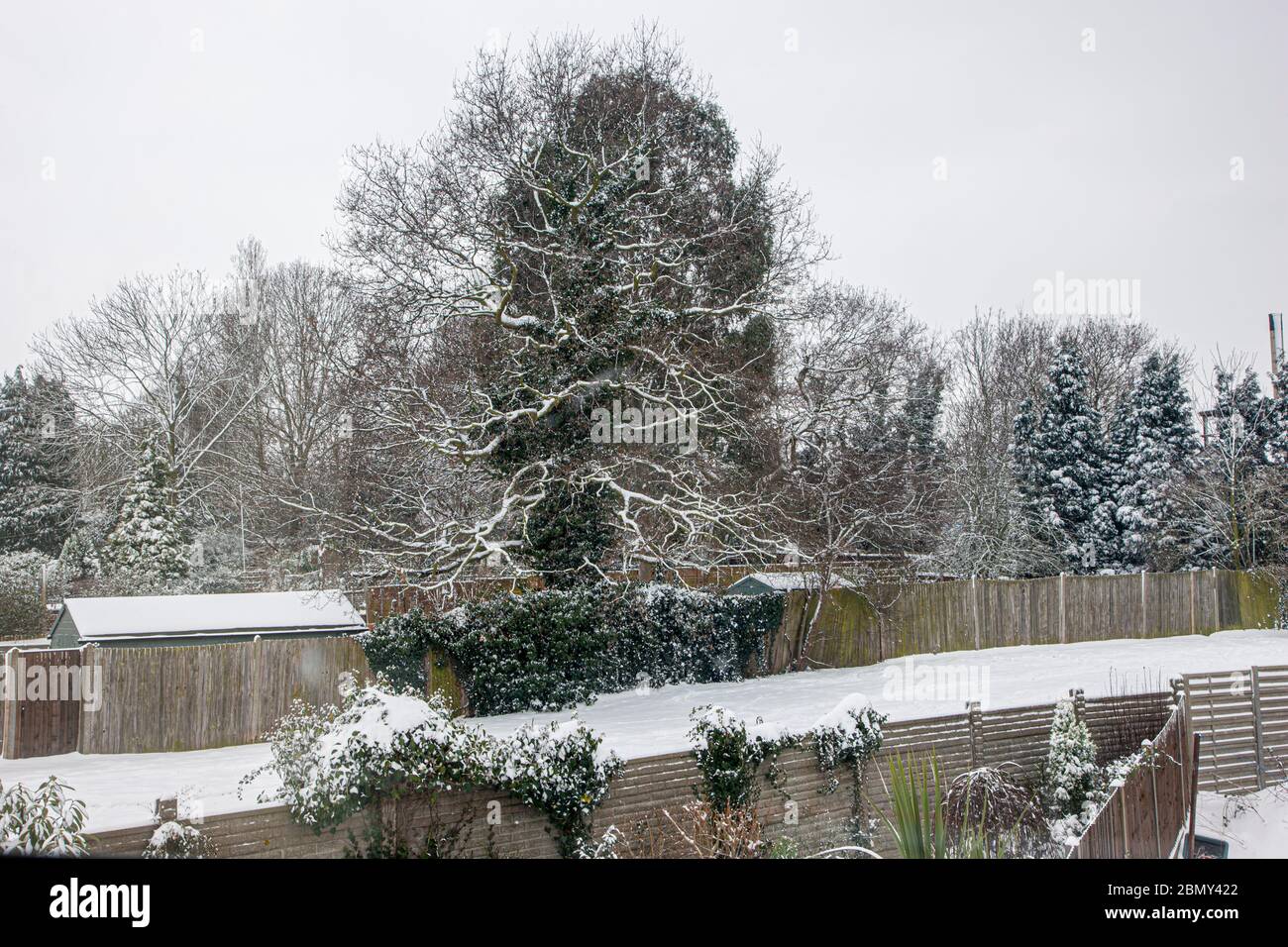 Vista dalla finestra della camera da letto di una scena invernale innevata con alberi innevati Foto Stock