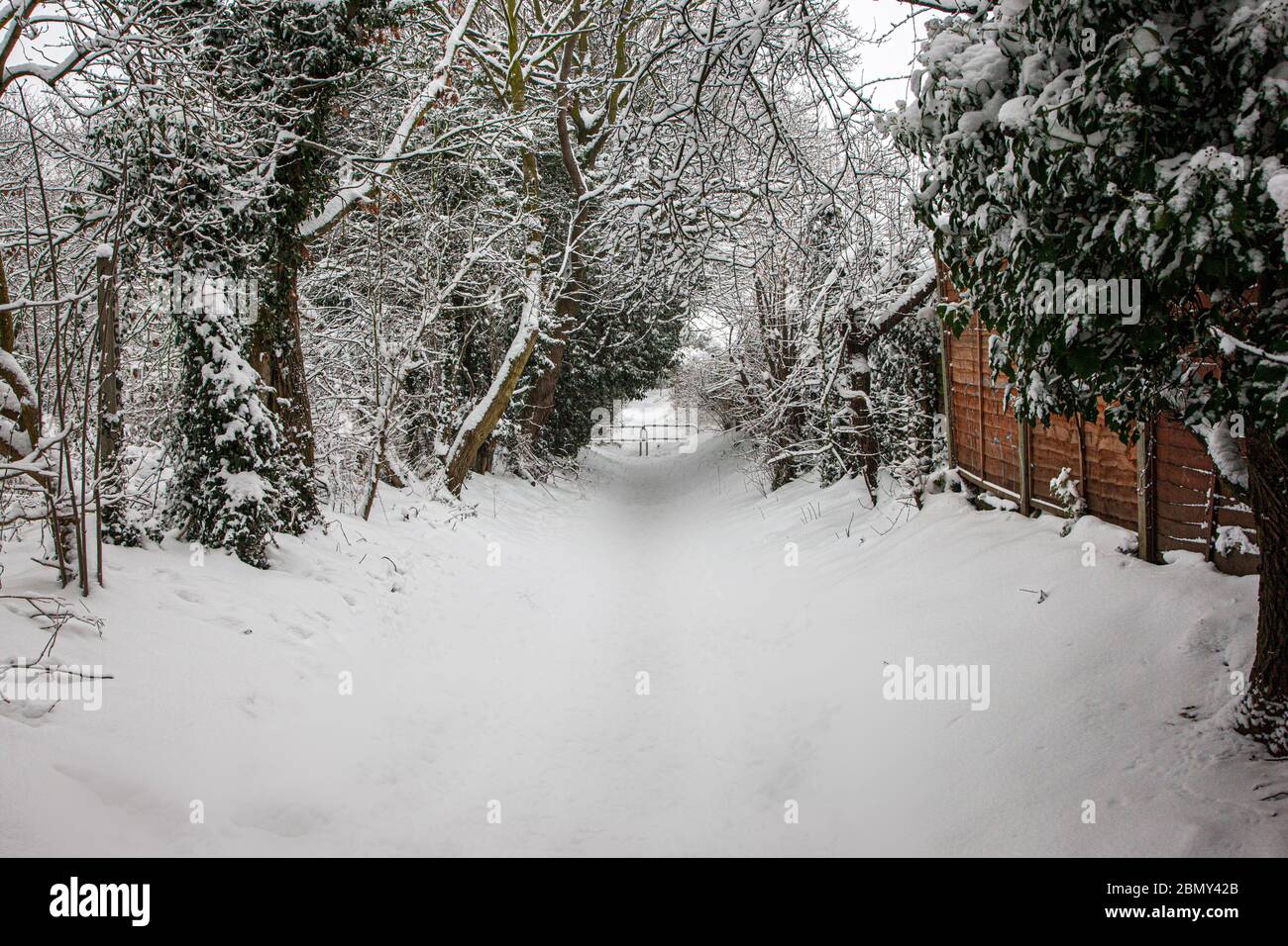 Neve scenario invernale di percorso per il parco Foto Stock