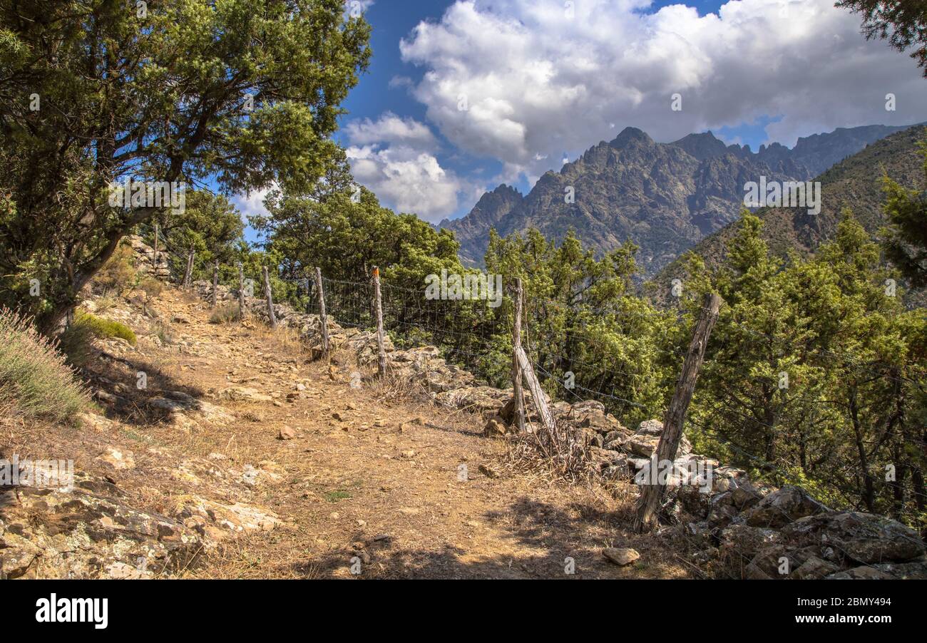 Percorso a piedi nella gola del fiume Asco con vista sul monte Cinto in Haute Corse sull'isola della Corsica, Francia Foto Stock