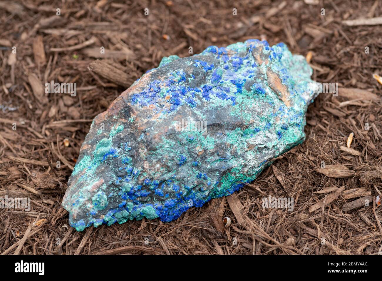 L'accrezione di Malachite e Azurite. Campione grezzo naturale di pietre preziose a base di rame. Foto Stock