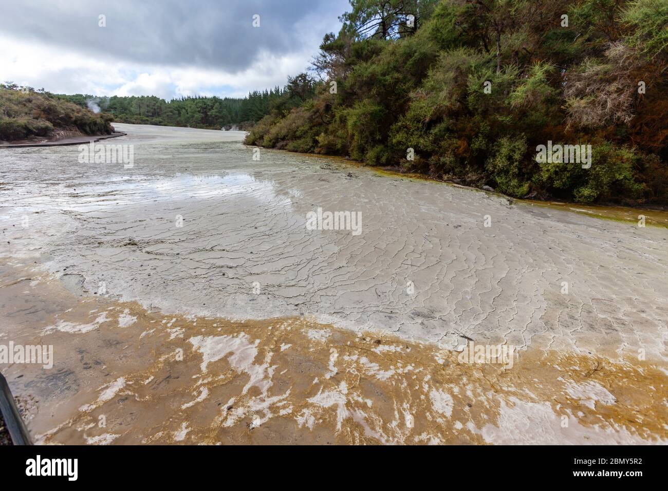 Primrose Terrace, Wai-o-Tapu, caldera Reporoa, nella zona vulcanica di Taupo in Nuova Zelanda. Foto Stock