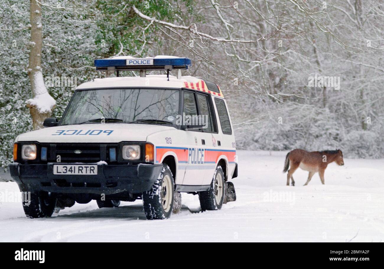 Hampshire Constabulary ha segnato auto di polizia in pattuglia nella zona di Lyndhurst della New Forest durante una caduta di neve invernale, Lyndhurst, New Forest, Hampshire, Inghilterra, Regno Unito Foto Stock