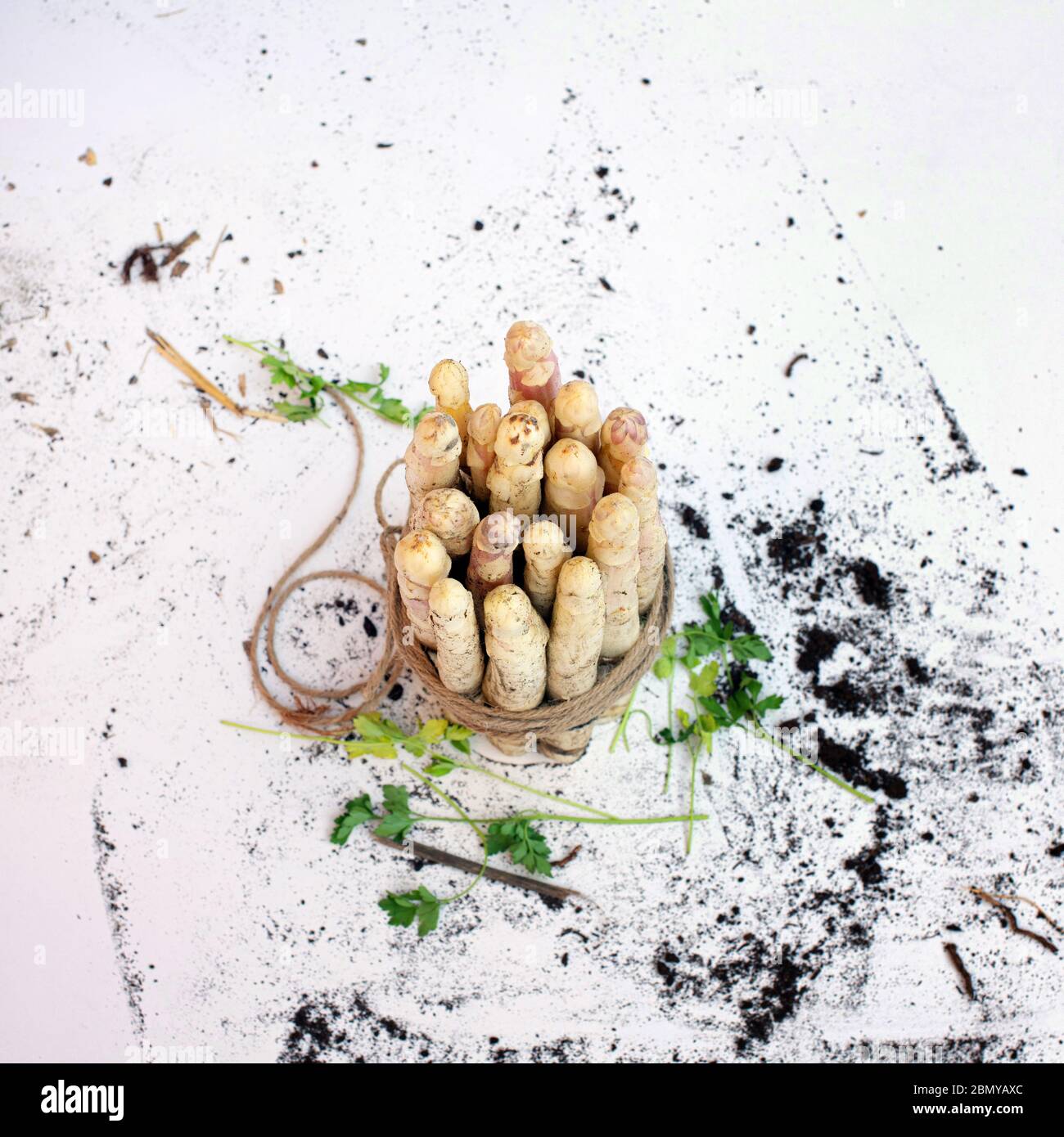 cibo asparagi bianchi con fondo bianco, oro, legno Foto Stock
