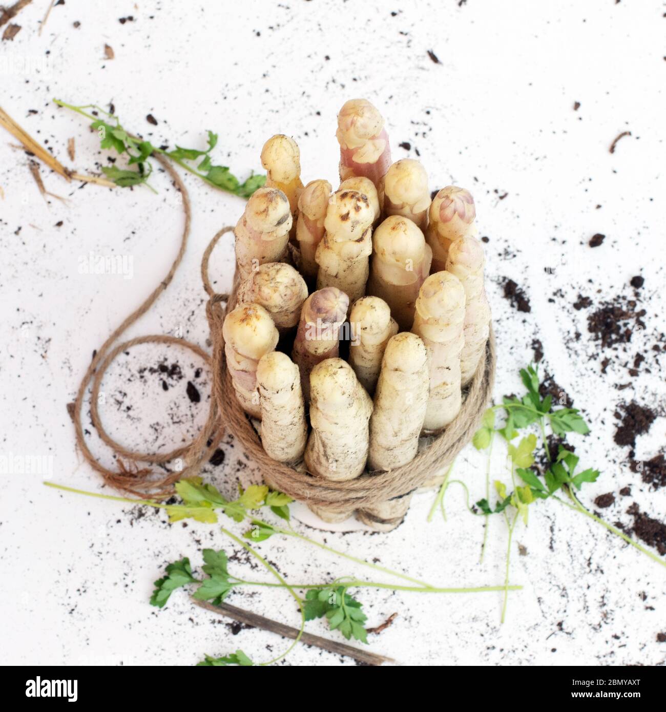 cibo asparagi bianchi con fondo bianco, oro, legno Foto Stock