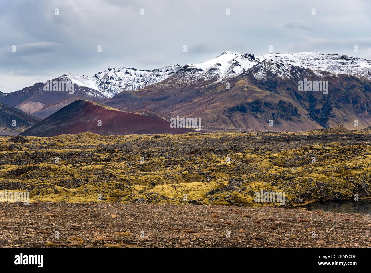 Suggestivo paesaggio vulcanico con una pianura lavica ricoperta di muschio con montagne innevate sullo sfondo in un giorno di autunno Foto Stock