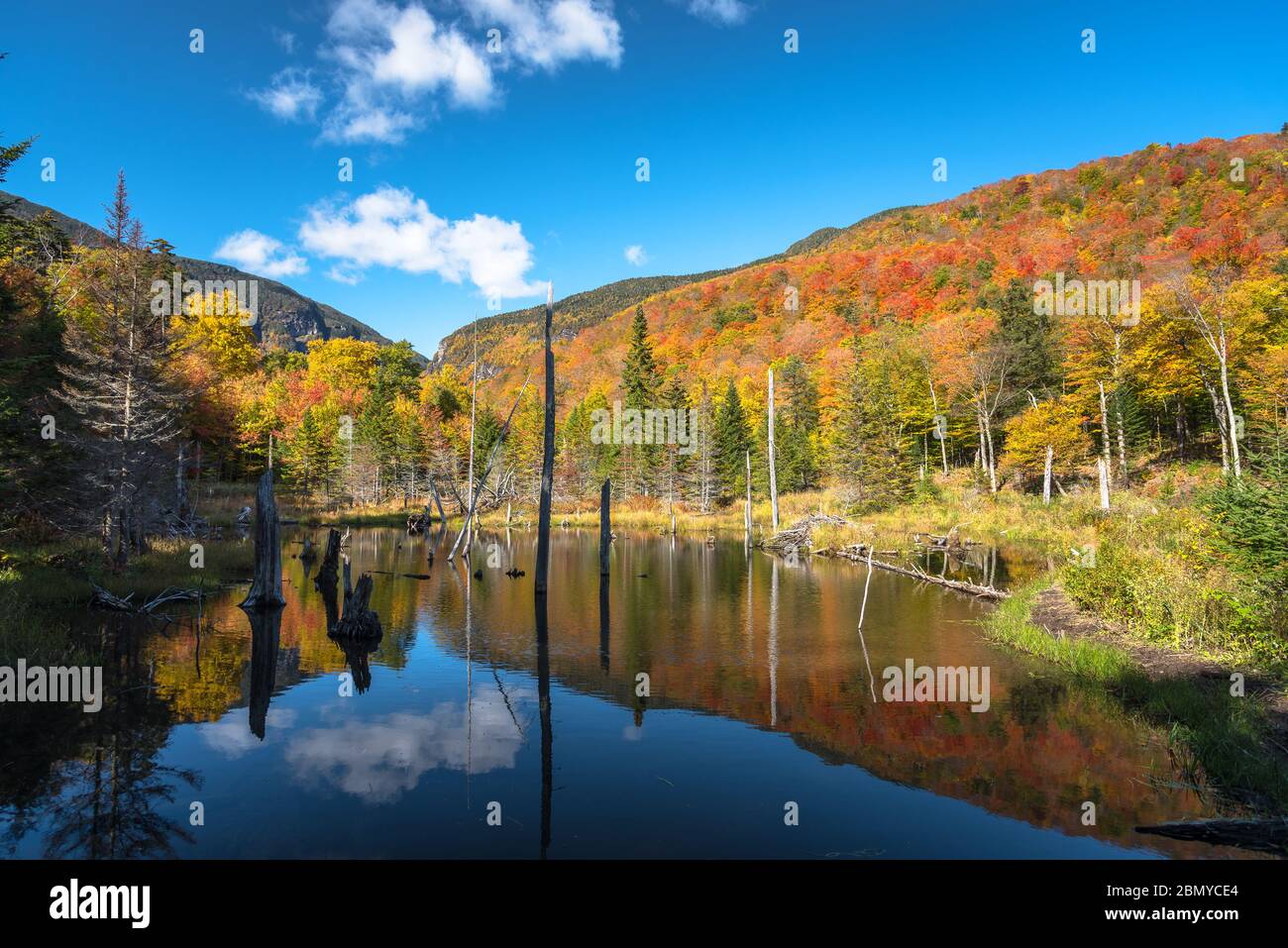 Stagno in un paesaggio boscoso di montagna in una giornata di autunno chiaro. Riflessi in acqua e splendidi colori autunnali. Foto Stock