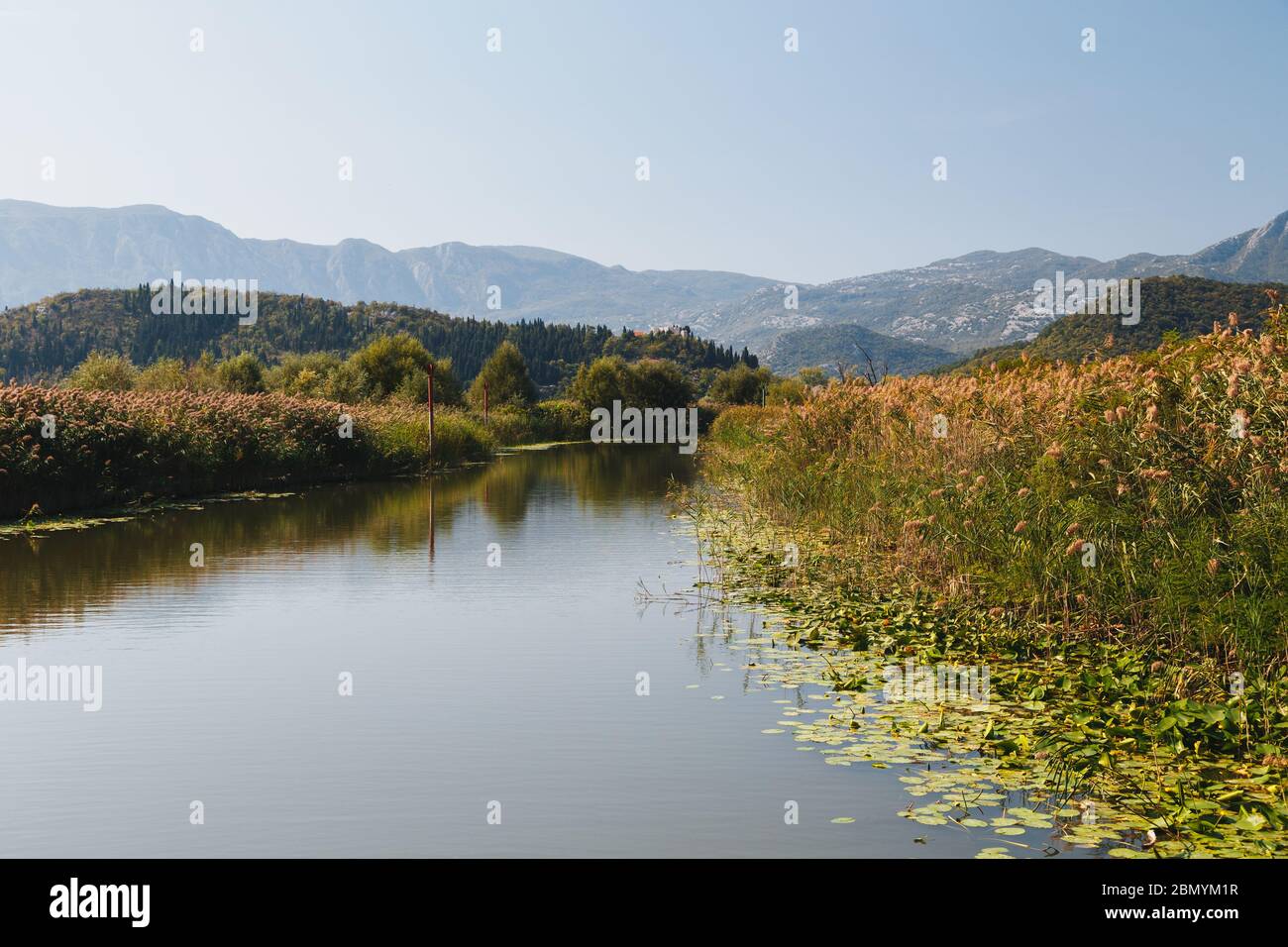 Una bella vista sul Lago Skadar, piccolo fiume al villaggio di Virpazar circondato da canna, e le Alpi Dinariche in Montenegro, Parco Nazionale, famoso turista Foto Stock