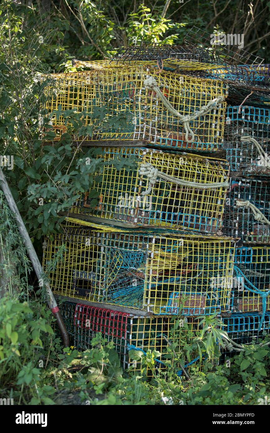 Lobster Traps a Lanes Cove, Gloucester, Massachusetts Foto Stock