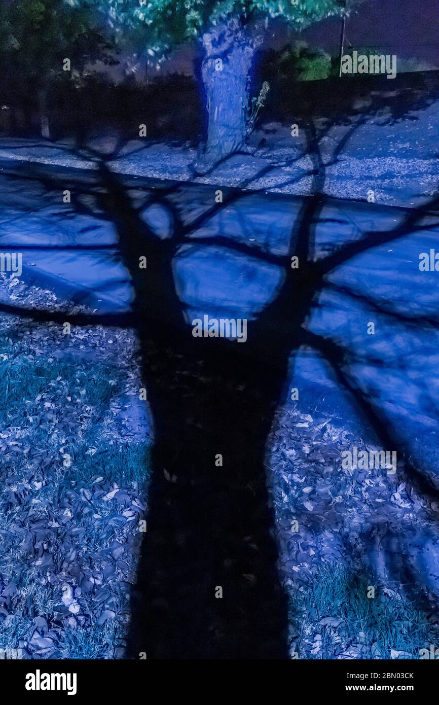 Illustrazione fotografica (colori modificati) di una strada desolata e solitaria di notte nella zona ricreativa del fiume Colusa-Sacramento, Colusa, California, Foto Stock