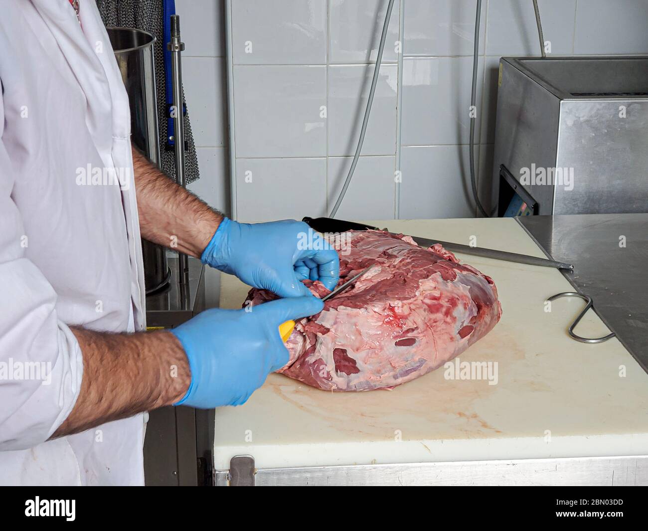 Macellaio che lavora sullo smashing della carne con i guanti di plastica, gente industriale job 4k Foto Stock
